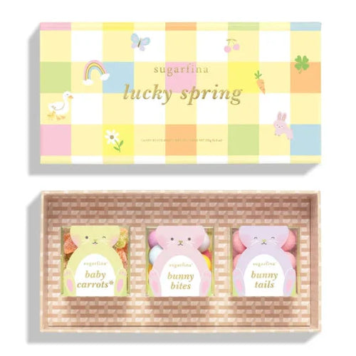 3 Piece Candy Bento Box