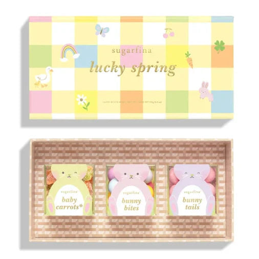 3 Piece Candy Bento Box